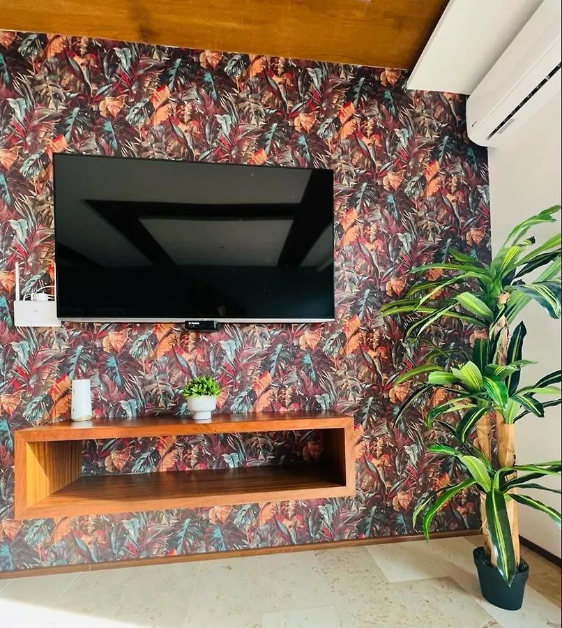 Loft View Sea The Best Ubication At 5Th Av بلايا ديل كارمن شقة